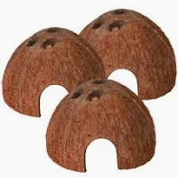 METADES DE CASCA DE COCO 3unid