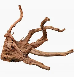 Raizes do Deserto Sortidas ao KG